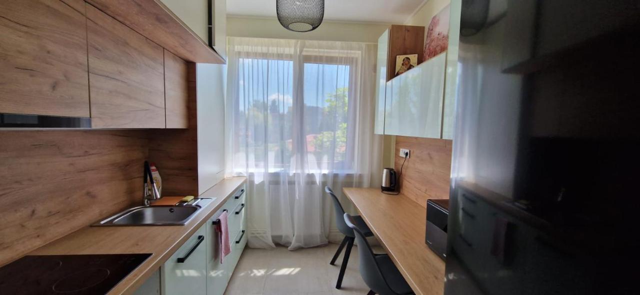 University Apartment Бая-Маре Экстерьер фото
